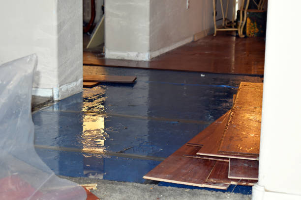 Professional Flood Damage Repair technician working in North Oxford, MA